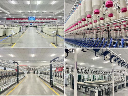 數(shù)智世界亮相2024年紡紗技術高峰論壇 分享新材料技術開發(fā)與智慧工廠實踐